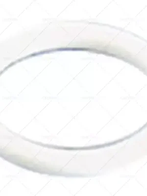 Must-Have ploché těsnění PTFE D1 ø 22mm D2 ø 19,5mm tloušťka 1mm Množství 1 ks vhodné pro SAN MARCO
