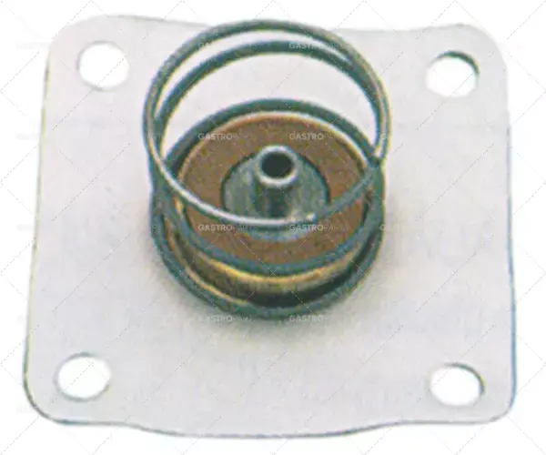 Výprodej připojení membrány 1" série L145-R typ membrány PTFE