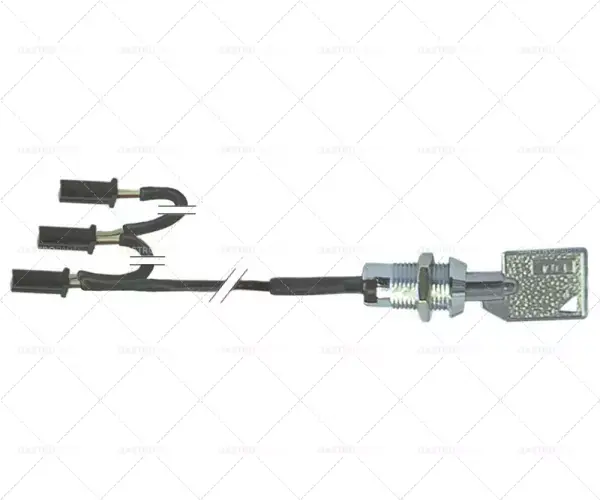 Dokud Zásoby Vydrží montážní průměr klíčového spínače 11,6 mm 3 skupiny