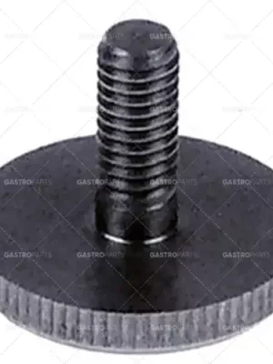 Nízká Cena Šroub s palcem závit M6 závit L 13mm ø 24mm H 4mm SS