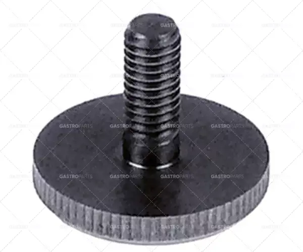 Nízká Cena Šroub s palcem závit M6 závit L 13mm ø 24mm H 4mm SS