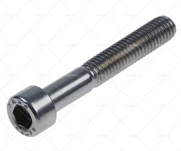 Nejlepší Volba Hlavy válců se závitem šroubu M6 L 40 mm závit 25 mm L SW 5 CNS jednotka 1 ks